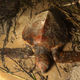 A cold-stunned Kemp’s ridley sea turtle lays in the sand at Great Hallow beach in Cape Cod on December 3, 2020.